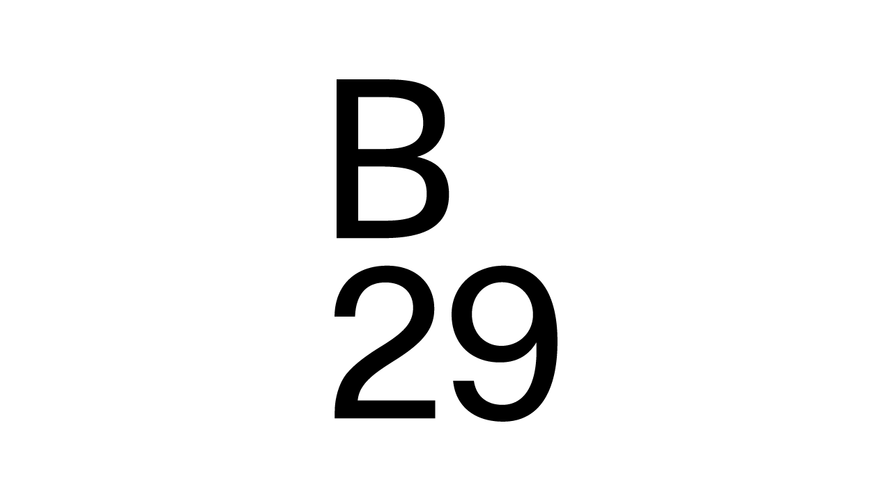 (c) B29.ch