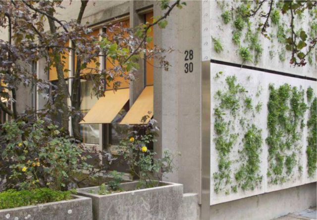 We are thrilled to announce that B29 has been named winner 🥇 for the transformation of the ART CENTER « PICTO », in Petit-Saconnex.This recognition celebrates our skills in technical transformation that has been developped for over 18 years at the office. It is also a reward as we decided to be back to architectural competition and participate more and more on studies of public facilities.This project is set on 3’566 m2 displayed on 3 storeys. The building houses contemporary artists such as painters, designers, film-makers, dancers, musician, and theater teams.It will gather both the space for their production and the space for exhibition under one roof. The original building from 1964, designed by the Architect Henri Lesemann, will get modernised through an important thermal and energetical renovation process. The transformation is set to reach the HPE-renovation label.The project will be engaged in sustainable design with high constraints in the field of heritage architecture.Our office is honored to be part of this journey that is planned for 2026, 2027 and 2028.#architecture #geneve #competition #officelife #design #hpe #project #planning #artdistrict #artistresidence #art #culturalcenter #timetobuild #renovation #archilovers